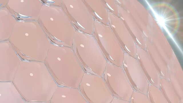 Drop a lotion or  or serum. Onto the skin to add moisture And protect the skin from 3d