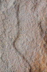 White empty space wall texture background for website, magazine , graphic design and presentations