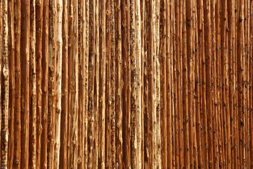 The high dense fence is made of the pine logs cleared of bark. Original background.