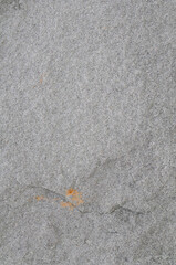 White empty space wall texture background for website, magazine , graphic design and presentations