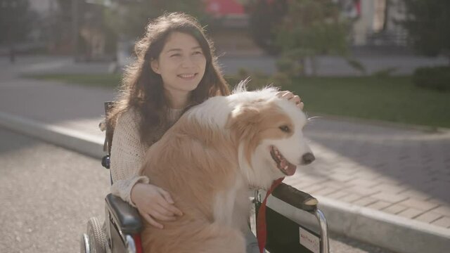 Portrait of disabled happy blind woman in wheelchair with her guide dog looking at camera. Asian handicapped visually impaired girl with paralysis living full life. Outdoor summer. 6k downscale 10 bit
