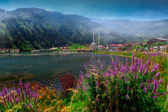 Westh turkey uzungol karadeniz trabzon national park naitonal geographic yayla mounatin lakeuzungol panorama