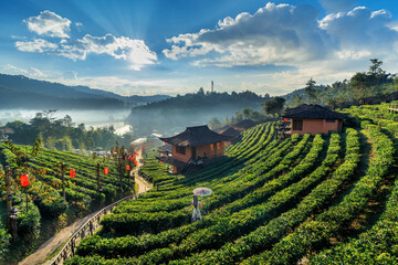Asian woman wearing chinese traditional dress at Ban rak thai village in mae hong son province,...