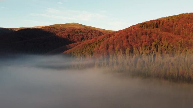 Shooting fog over the forest in the mountains. Dawn in the highlands. Aerial shot