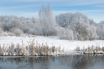 frozen snowy river banks scenery