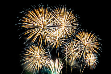 Fototapeta premium Abstract colorful firework display for celebration anniversary
