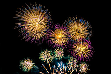 Fototapeta premium Abstract colorful firework display for celebration anniversary