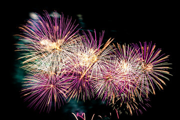 Abstract colorful firework display for celebration anniversary