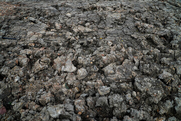 Cracked ground, cracked soil. texture of grungy dry cracking parched earth. Global worming effect.