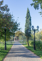 Walkway in the park in the summer