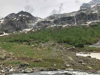 цвета природы