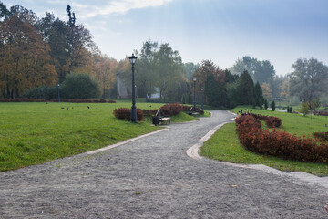 Walkway in the park in the summer