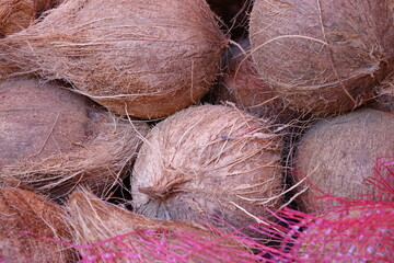 Coconut on the market
