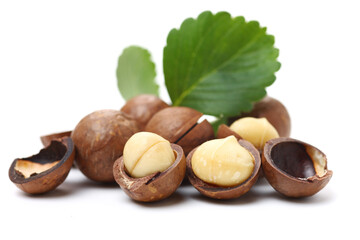 Shelled and unshelled macadamia nuts on white background 