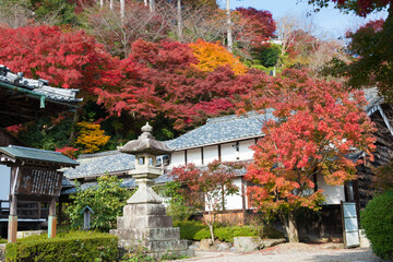 Kyoto, Japan - Autumn leaf color at Yoshiminedera Temple in Kyoto, Japan. The Temple originally built in 1029.