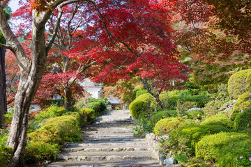 Kyoto, Japan - Autumn leaf color at Yoshiminedera Temple in Kyoto, Japan. The Temple originally built in 1029.