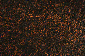 Brown Leather Texture