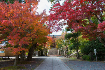 Naklejka premium Kyoto, Japan - Autumn leaf color at Komyoji Temple in Nagaokakyo, Kyoto, Japan. The Temple originally built in 1198.
