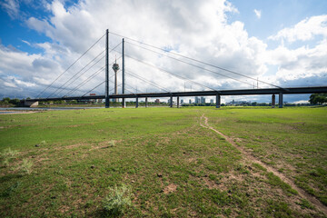 Rheinwiesen mit Rheinkniebrücke im Stadtteil Oberkassel von Düsseldorf