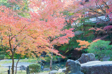 Kyoto, Japan - Autumn leaf color at Nagaoka Tenmangu Shrine in Nagaokakyo, Kyoto, Japan. The Shrine was a history of over 1000 years.