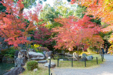 Kyoto, Japan - Autumn leaf color at Nagaoka Tenmangu Shrine in Nagaokakyo, Kyoto, Japan. The Shrine...