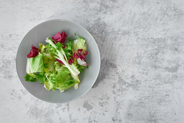 Top view of vegetarian herb salad made from green and red lettuce leaves in plate on gray concrete background with copy space.Healthy and wholesome food.Concept of healthy lifestyle, food preparation.