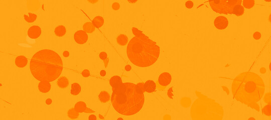 abstract colorful circles background bg texture wallpaper art leaves flora