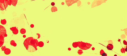 abstract colorful circles background bg texture wallpaper art leaves flora