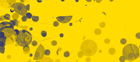 abstract colorful circles background bg texture wallpaper art leaves flora