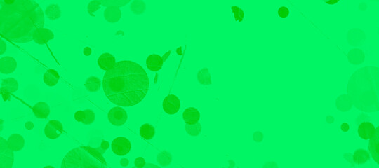 abstract colorful circles background bg texture wallpaper art leaves flora