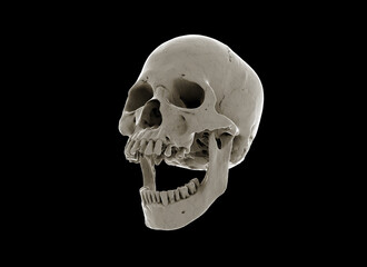Human skull with an open lower jaw on a Black isolated background. The concept of death, immortality, eternal life, horror. Acult symbol. Spooky Halloween symbol. 3D render