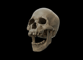 Human skull with an open lower jaw on a Black isolated background. The concept of death, immortality, eternal life, horror. Acult symbol. Spooky Halloween symbol. 3D render