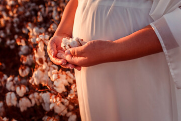 Pregnant woman belly and cotton flower