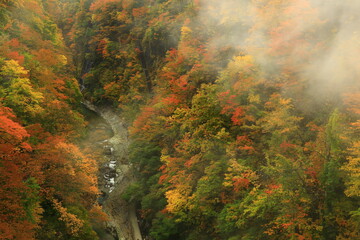 紅葉の小安峡