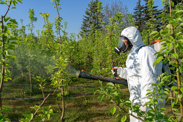 Man in Personal Protective Equipment Spraying Fruit Orchard With Backpack Atomizer Sprayer