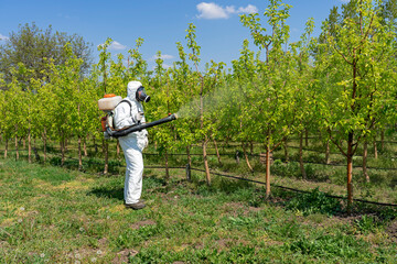 Agricultural Worker in Chemical-Resistant Suit Wearing Full-Face Respirator - Orchard Spraying