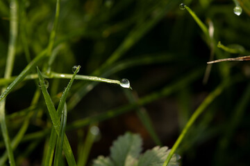 water drops 