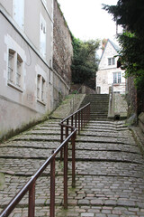 Fototapeta na wymiar alley and houses in angers in france