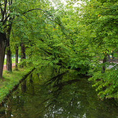 Artificial canal with water, which reflects green foliage and trees