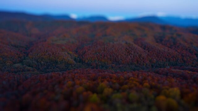 Caucasus aerial timelapse. Flight over the autumn forest in Caucasus Mountains in Russia. Tilt shift version