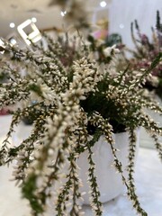 christmas tree decoration