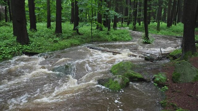 Flooded river Doubrava in Czech Republic. Valley Doubrava near Chotebor.