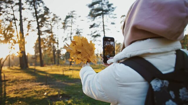 Making autumn content. Young woman recording video with bouquet of orange maple leaves, standing in fall park