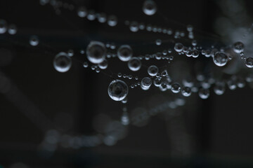 water drops 