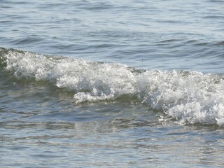 海　海の風景　日本海