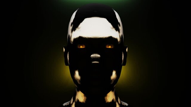 Rorschach Animation. Muster bewegt sich &uuml;ber einen menschlichen Kopf. 3D Animation. generativ