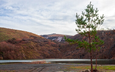 A fir tree near a coal lake overlooking the frozen hill - Powered by Adobe