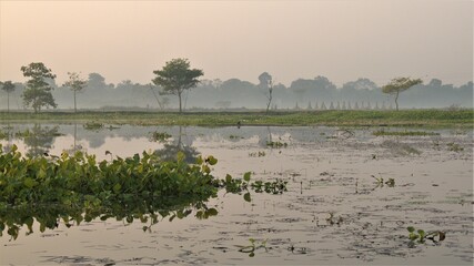 LANDSCAPE AT MORNING  OF VILLAGE  LAKE 