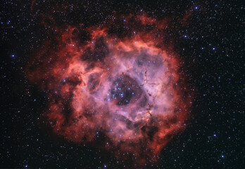 The Rosette nebula also known as Caldwell 49 with the Harp cluster at the centre.