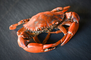 Cooked crab on black background , boiled crab seafood.